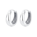 Silver Drop Earrings